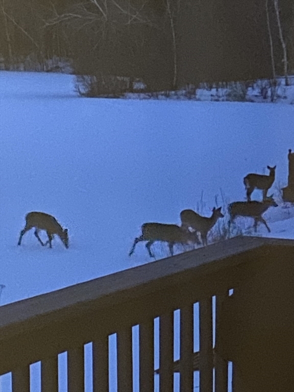 864 South Road Ashby, MA 01431 - Photo 28 of 32