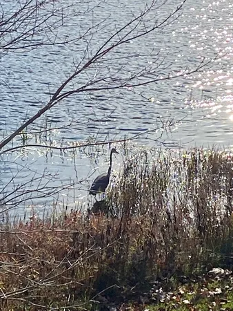 $579,000 | 864 South Road, Ashby, MA 01431