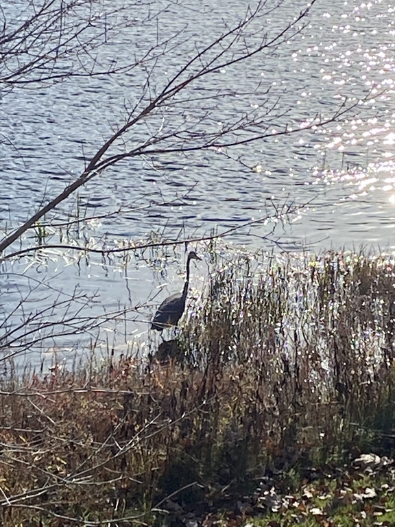 864 South Road Ashby, MA 01431 - Photo 31 of 32