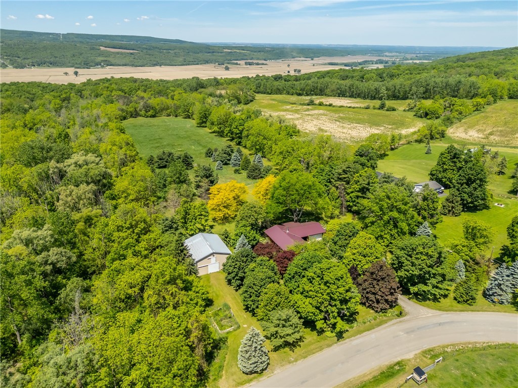 5947 Harter Road Dansville, NY 14437 - Photo 48 of 50