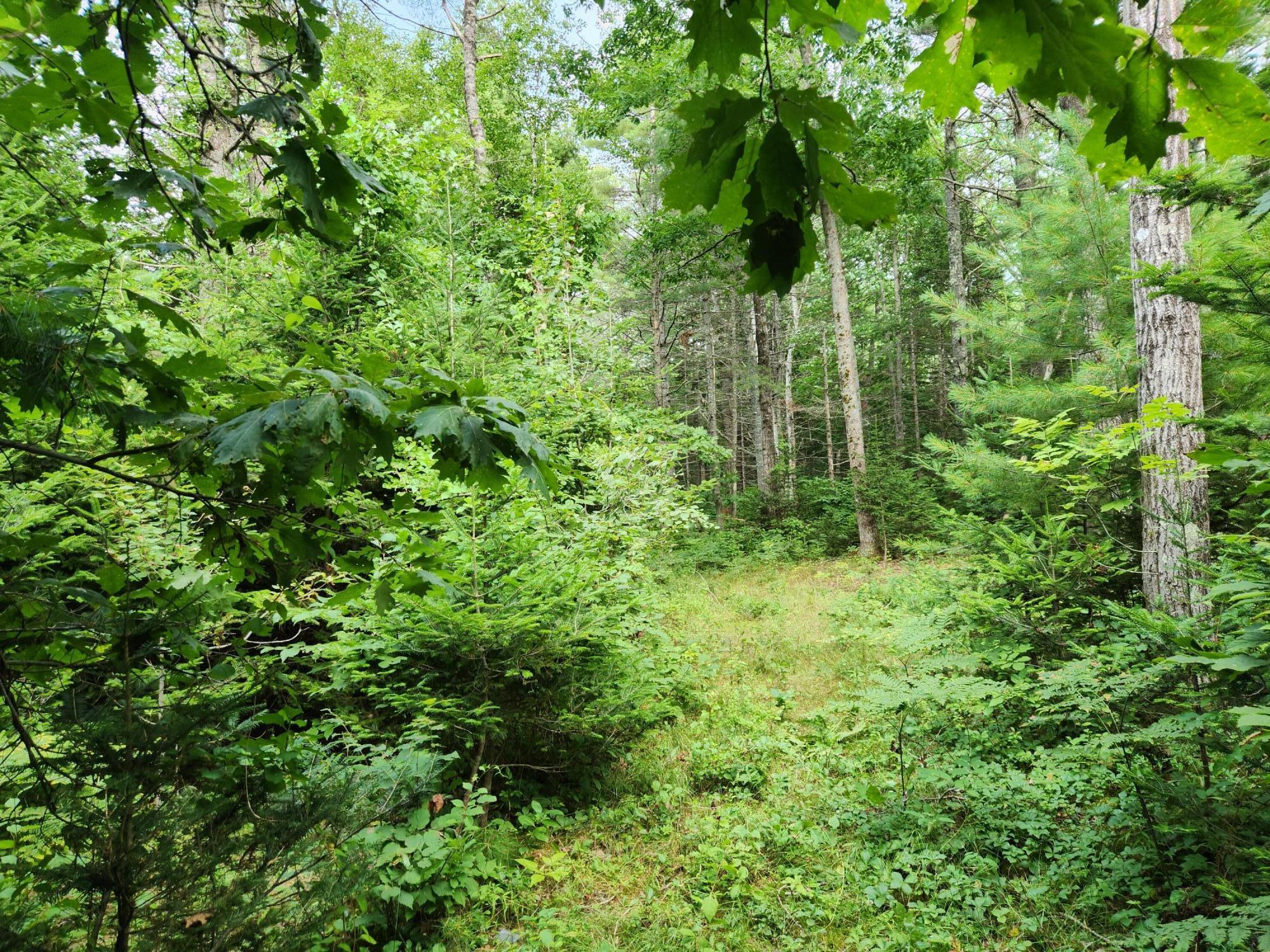 2851 Friendship Road Waldoboro, ME 04572 - Photo 8 of 16 20240730_155721