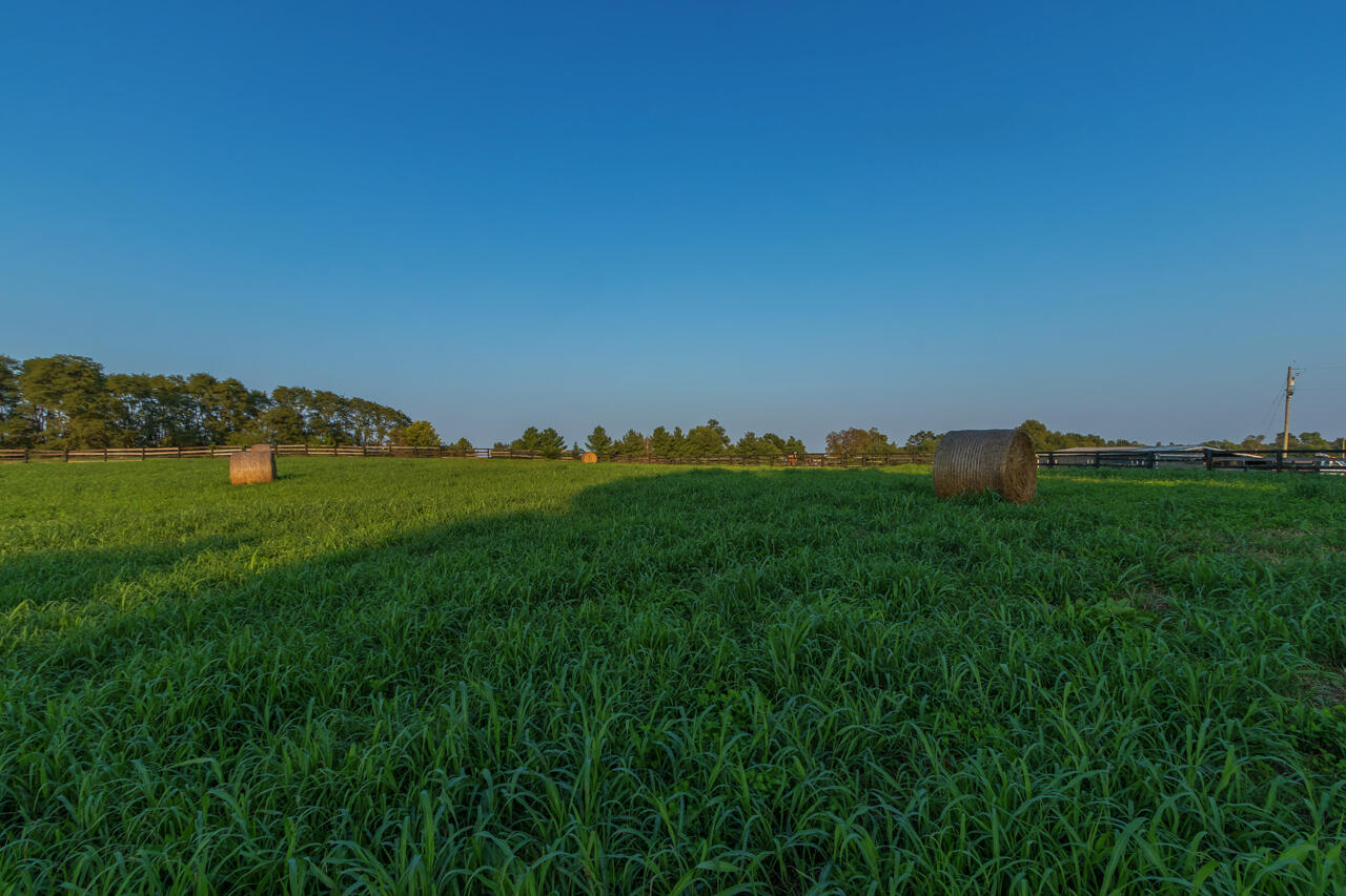 4744 Bryan Station Road Lexington, KY 40516 - Photo 64 of 67 Crop View