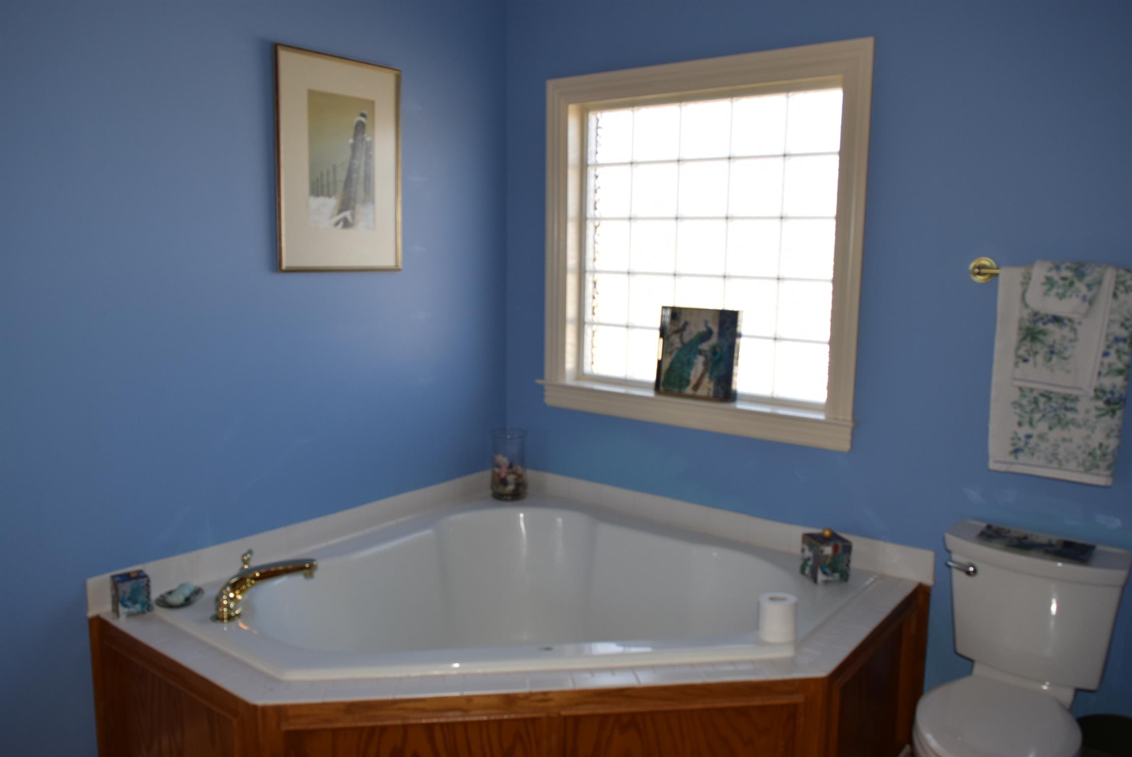 8936 Fredonia Road Manchester, TN 37355 - Photo 17 of 25 a bathroom with bathtub and window