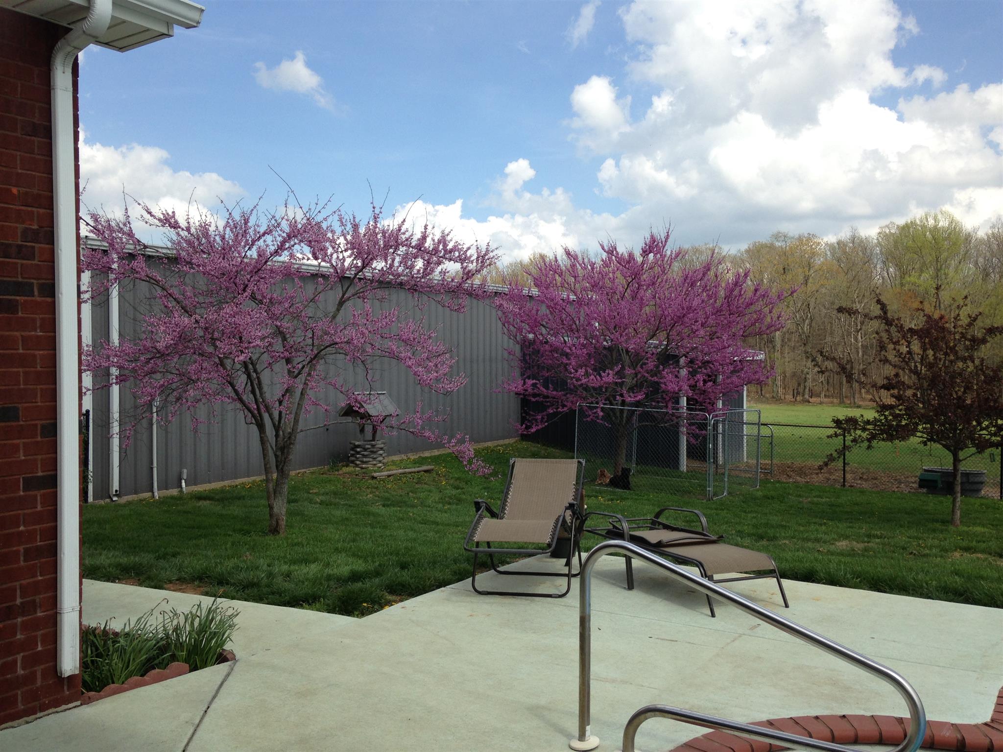 8936 Fredonia Road Manchester, TN 37355 - Photo 22 of 25 a view of a garden