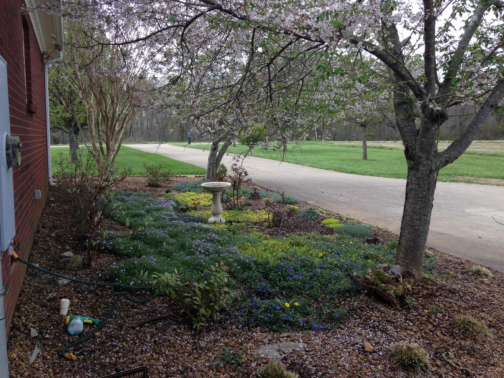 8936 Fredonia Road Manchester, TN 37355 - Photo 23 of 25 a view of a garden with a tree