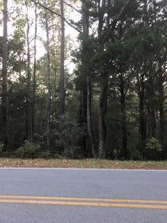 Xxx Pleasant Ridge Road DeFuniak Springs, FL 32435 - Photo 1 of 2 Gallery Image 1