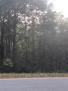 Xxx Pleasant Ridge Road DeFuniak Springs, FL 32435 - Photo 2 of 2 Gallery Image 2