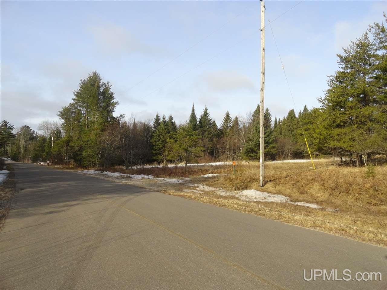 116-acres 116-acres Co Road Negaunee, MI 49866 - Photo 13 of 37