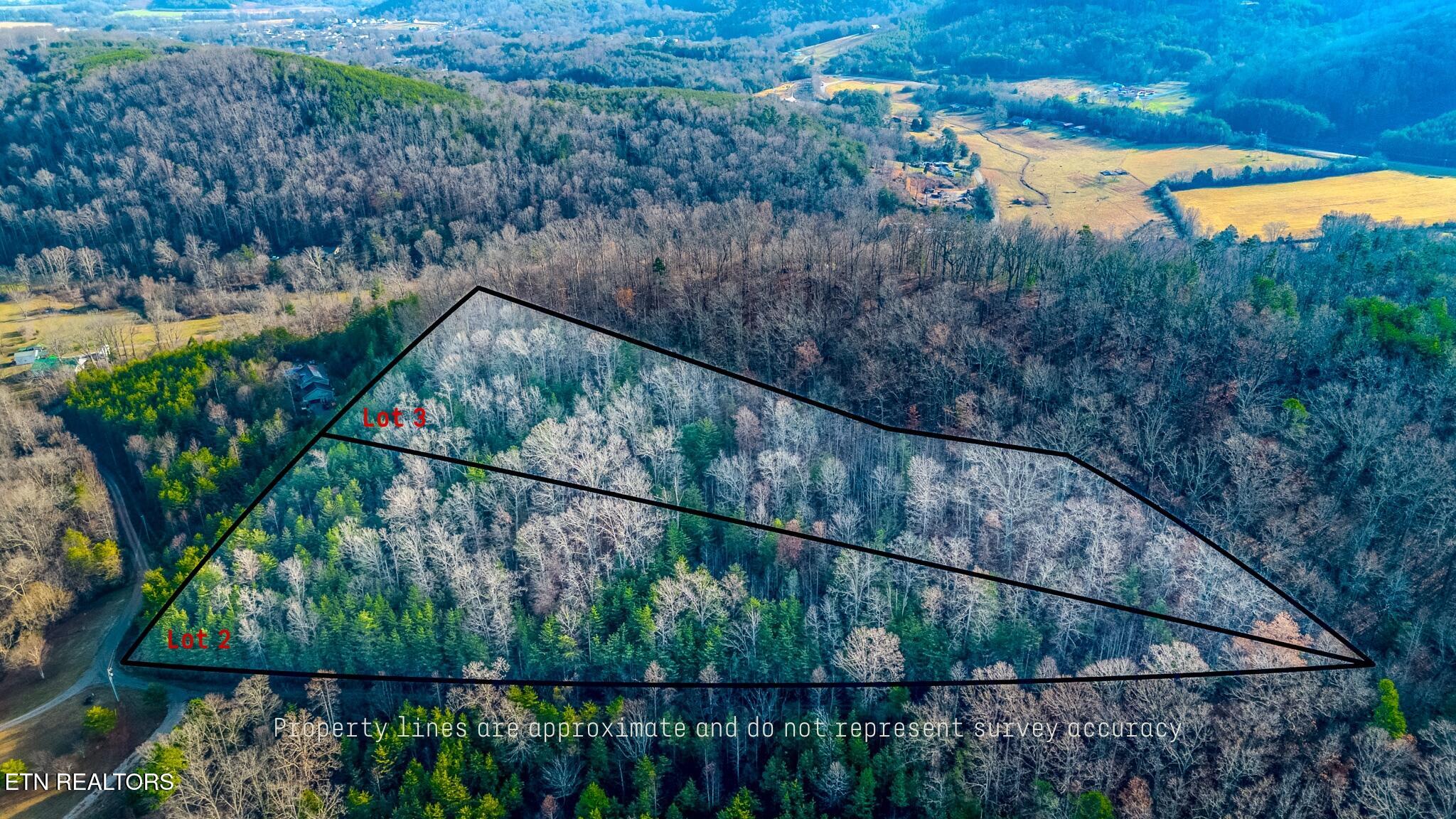 Lot 2 Unicoi Church Road Tellico Plains, TN 37385 - Photo 2 of 12 Outline 1