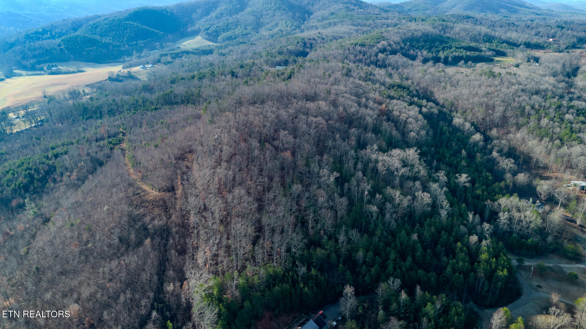 Lot 2 Unicoi Church Road Tellico Plains, TN 37385 - Photo 3 of 12 DJI_0384-HDR