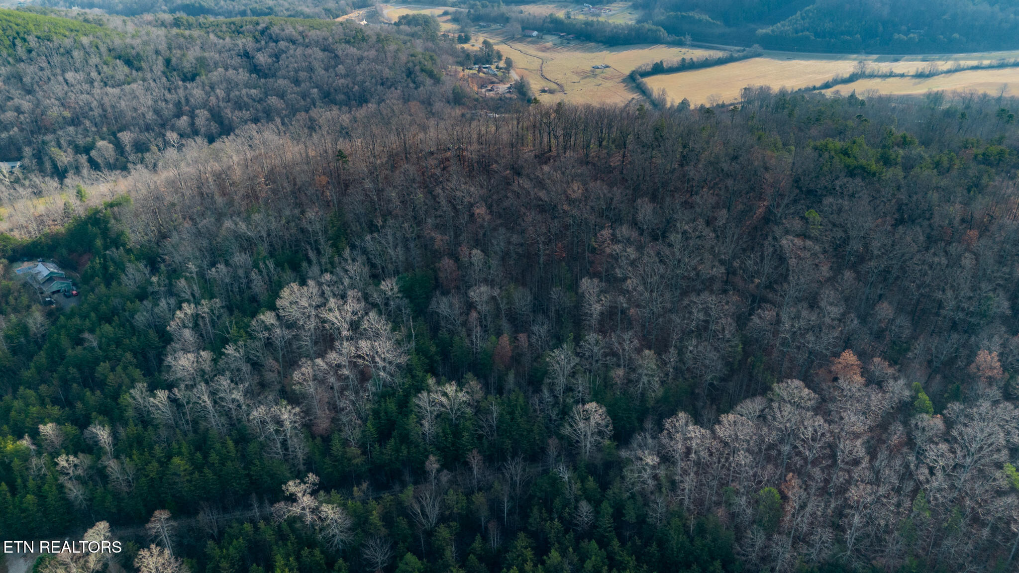 Lot 2 Unicoi Church Road Tellico Plains, TN 37385 - Photo 7 of 12 DJI_0375-HDR