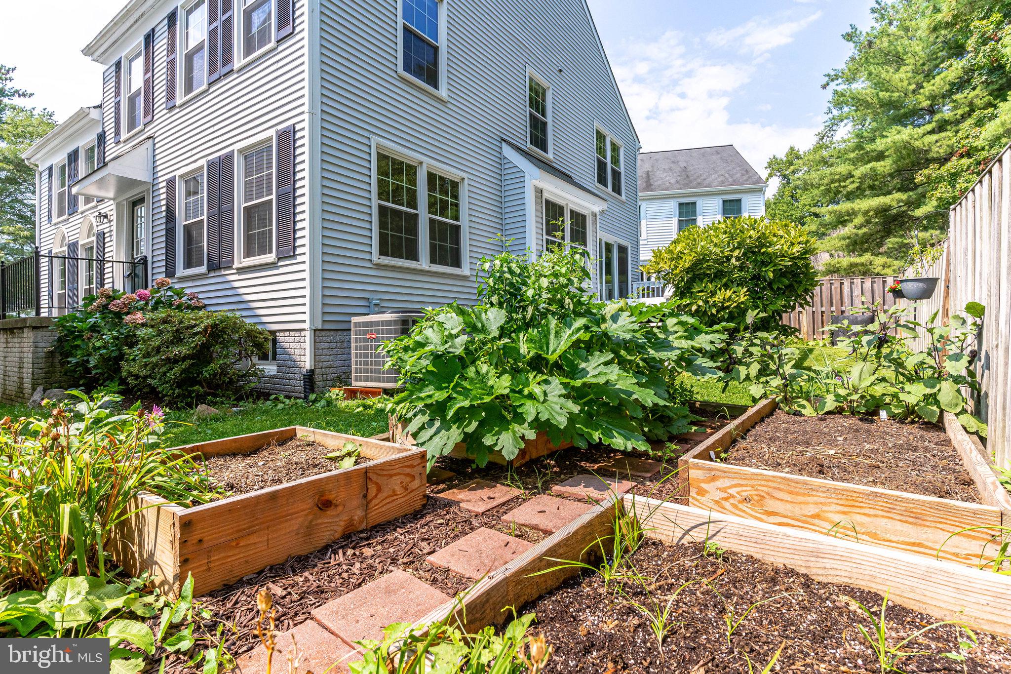 2403 Pondside Terrace Silver Spring, MD 20906 - Photo 41 of 45 Established vegetable garden