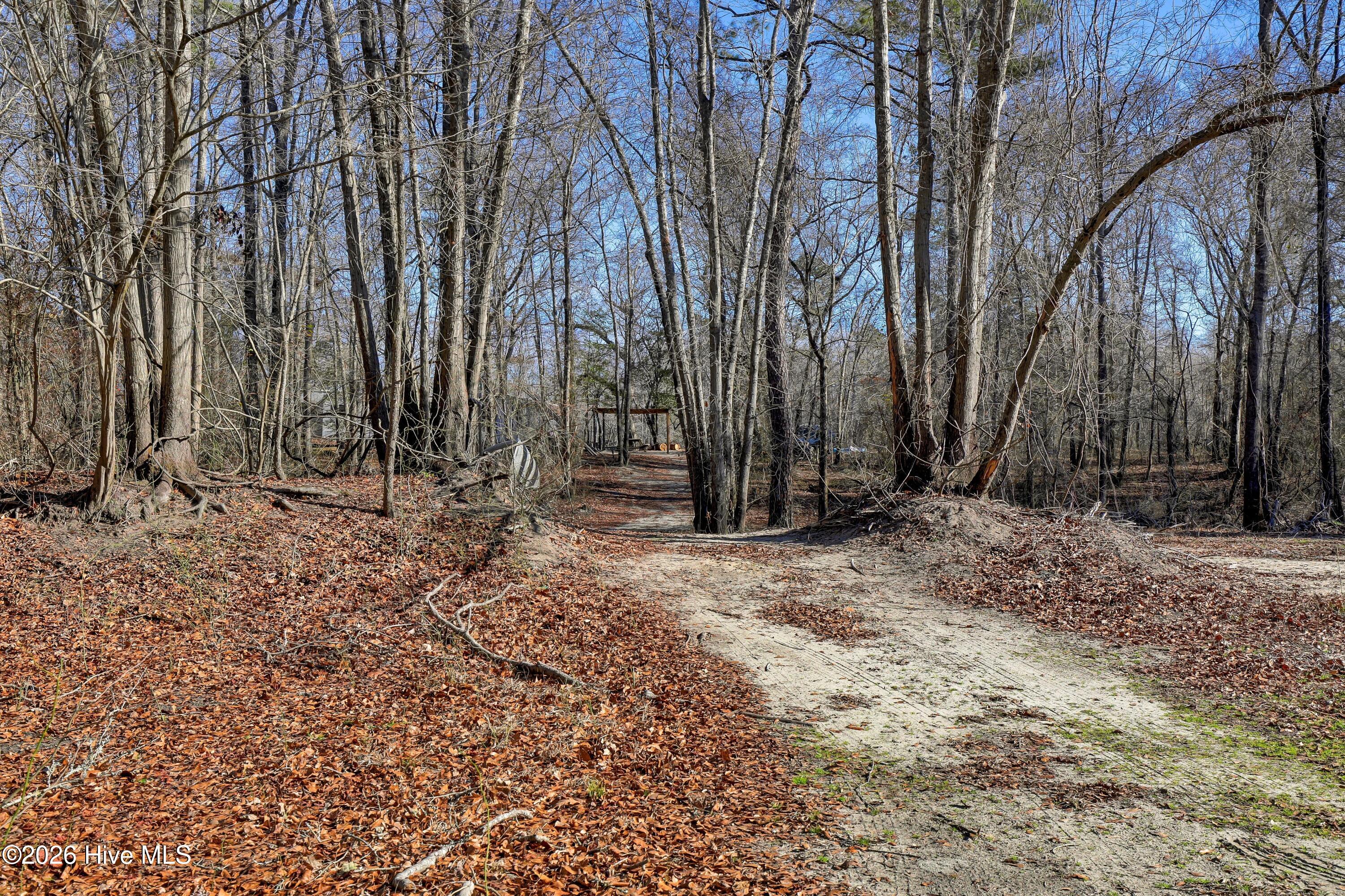 Lot 19 Ruddy Duck Lane Willard, NC 28478 - Photo 23 of 34 024_6g8a1575_552