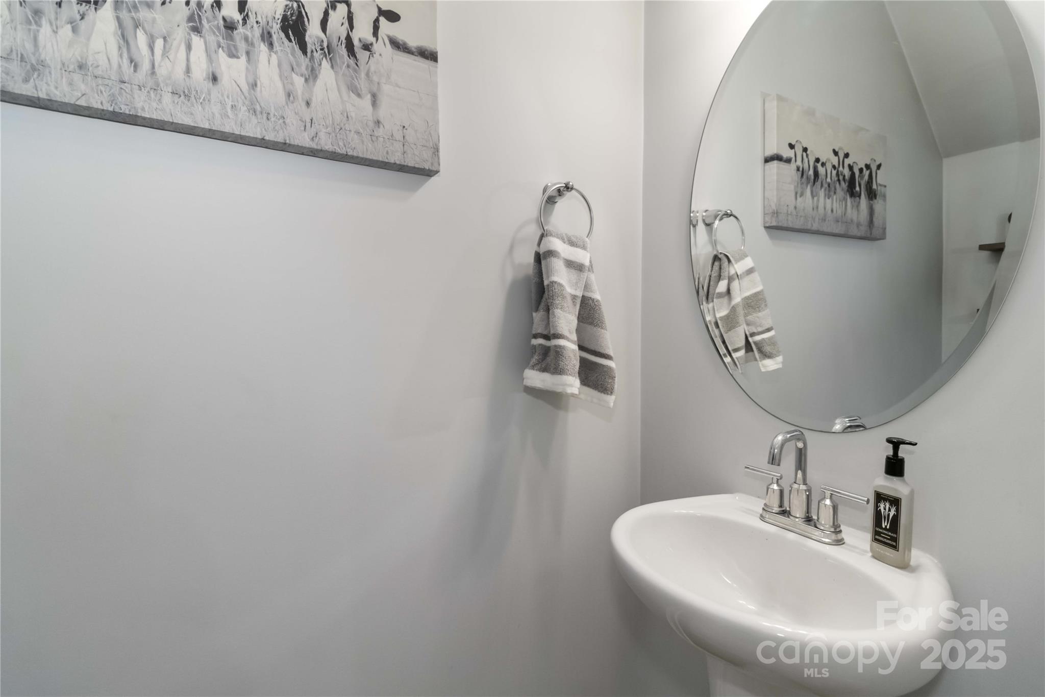 1076 Chicory Trace Clover, SC 29710 - Photo 6 of 28