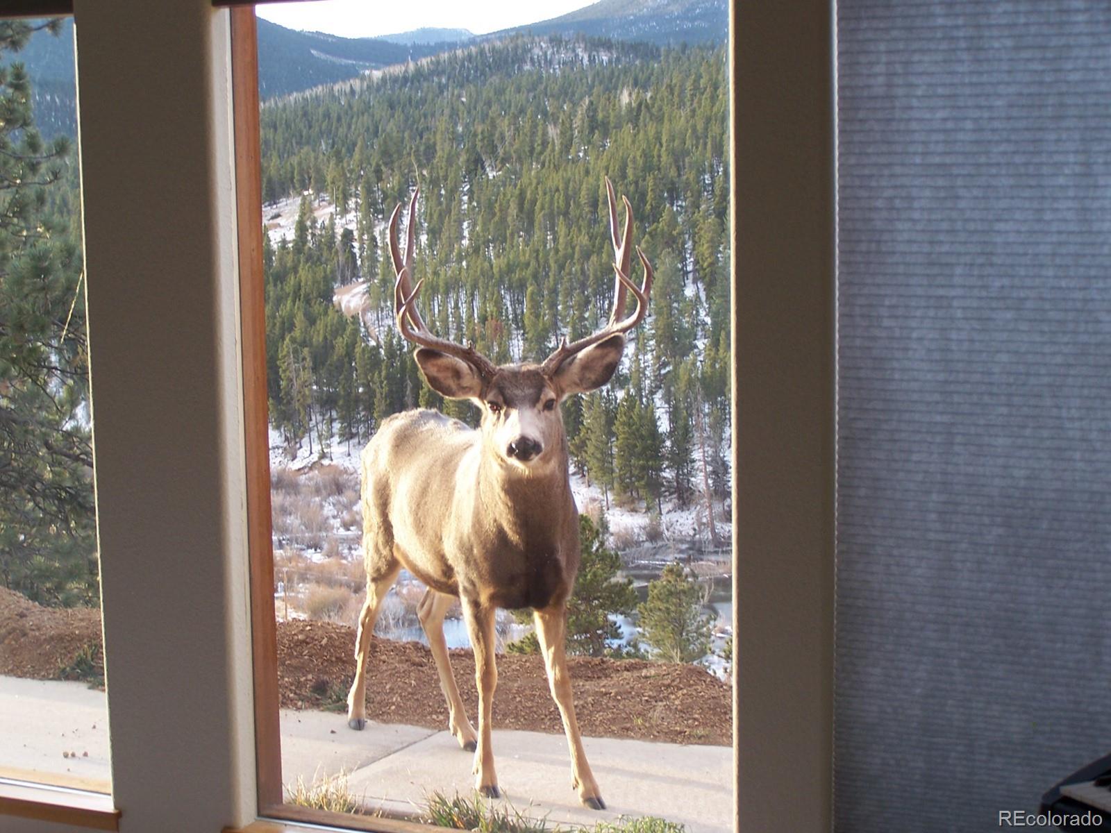 349 Royal Ridge Drive Bailey, CO 80421 - Photo 42 of 45 a closeup of a window