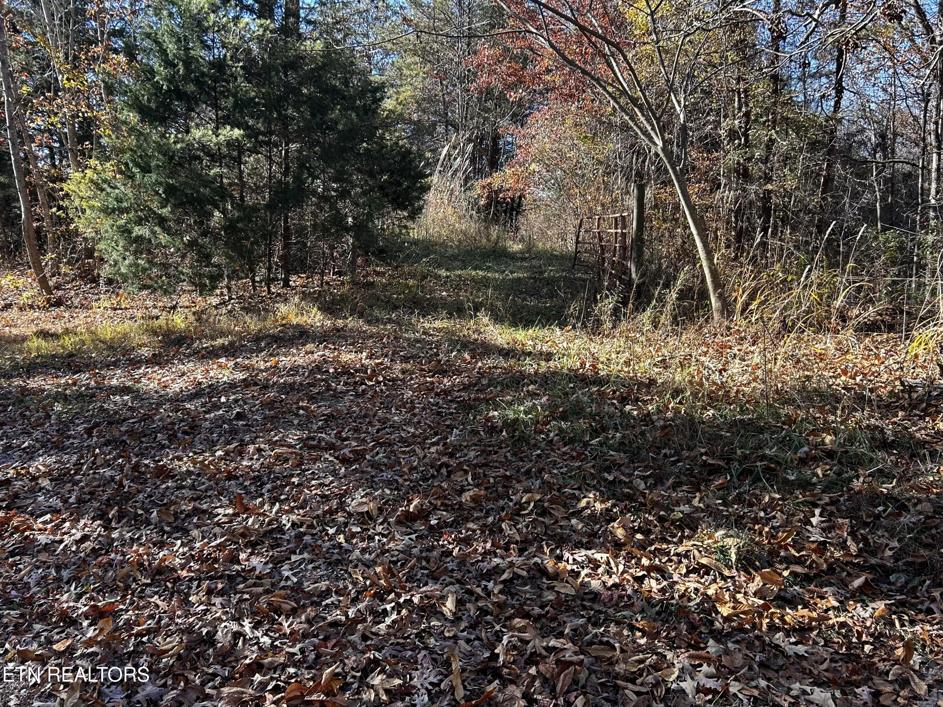 Shaddon Road Tellico Plains, TN 37385 - Photo 2 of 4 IMG_7639