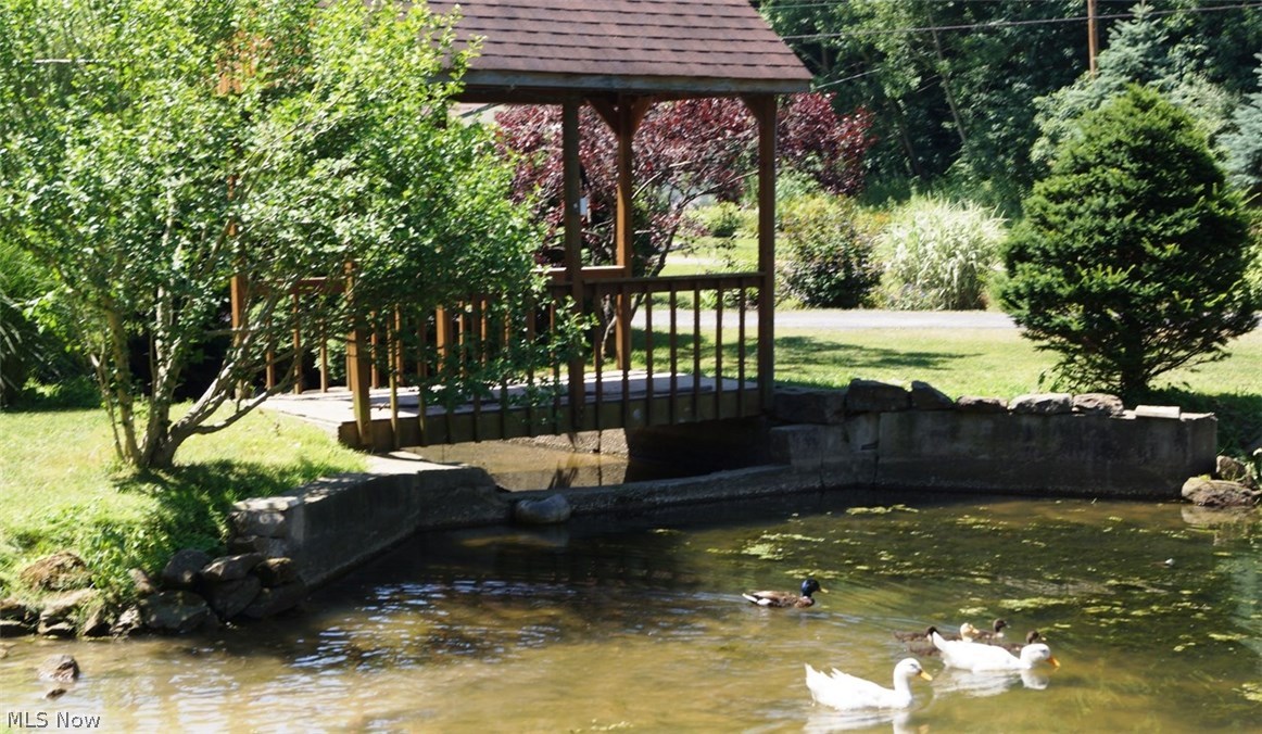 165 Major Road Northeast Minerva, OH 44657 - Photo 26 of 35 ENJOY THE DUCKS SWIMMING IN THE POND!