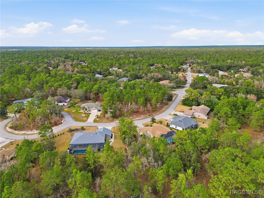 2 Nephthytis Court Homosassa, FL 34446 - Photo 9 of 21