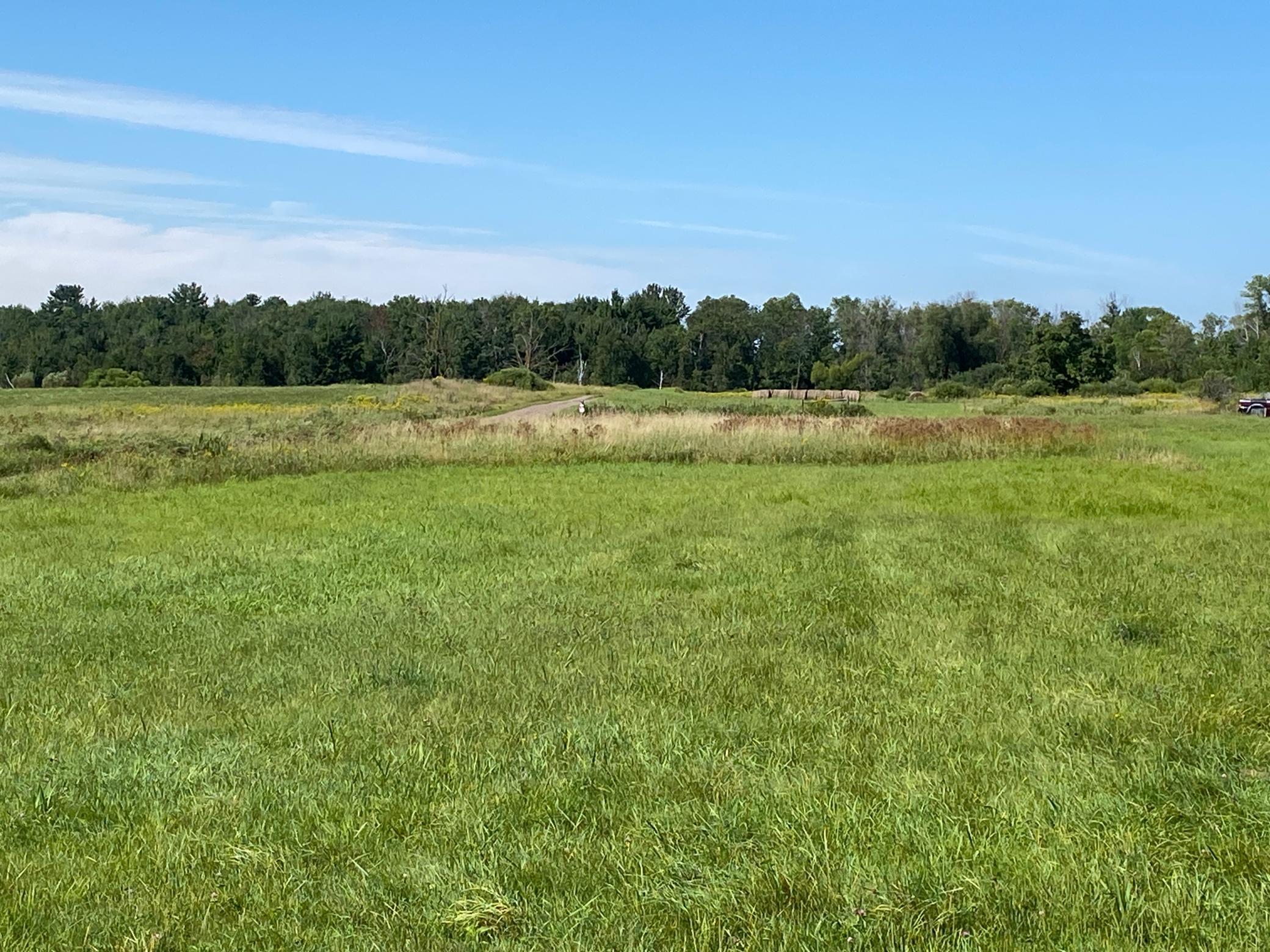 170-xx Ivy Road Milaca, MN 56353 - Photo 2 of 4