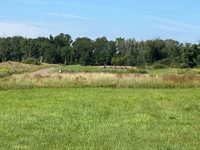 $150,000 | 170-xx Ivy Road, Milaca, MN 56353