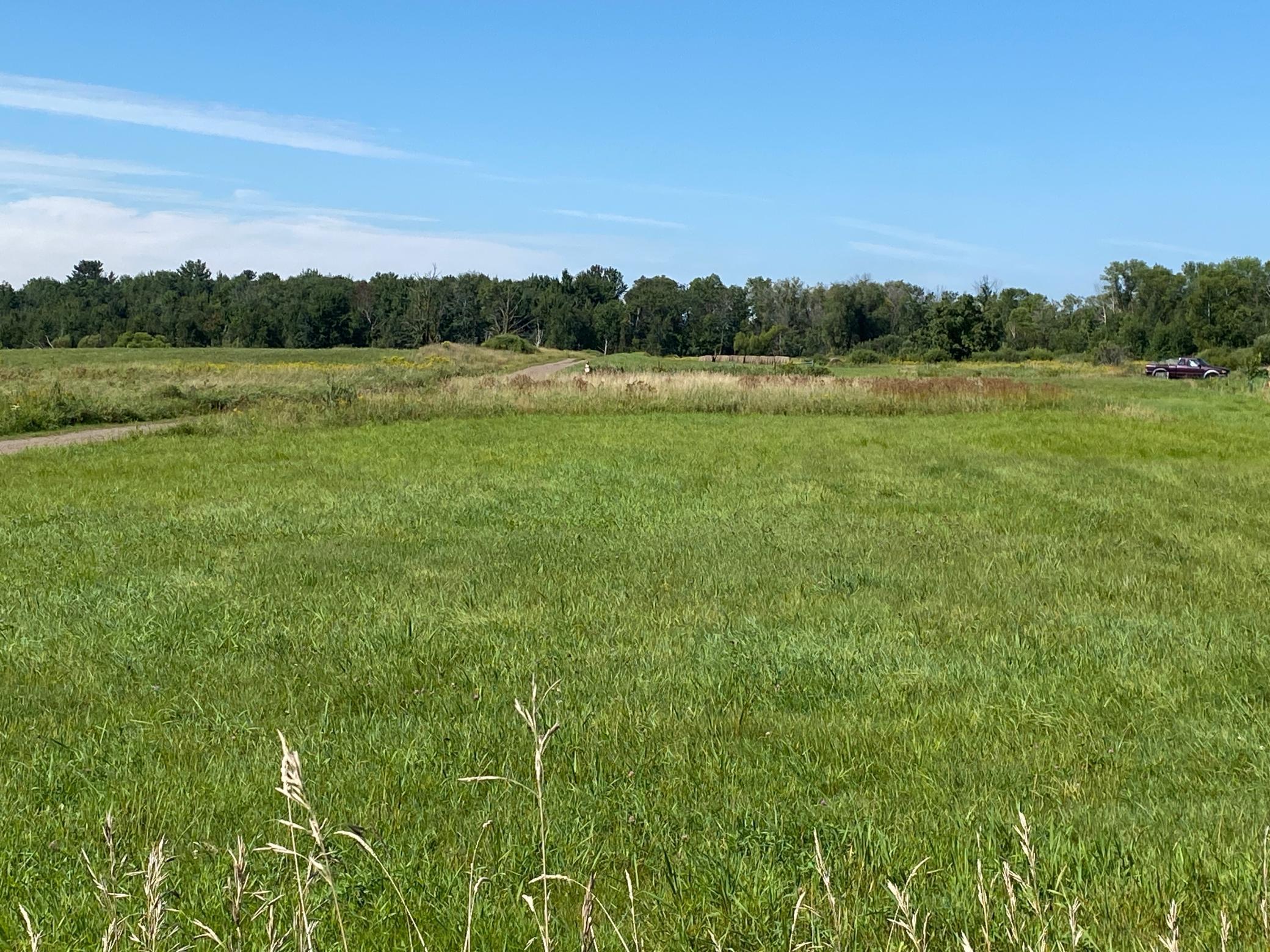 170-xx Ivy Road Milaca, MN 56353 - Photo 4 of 4