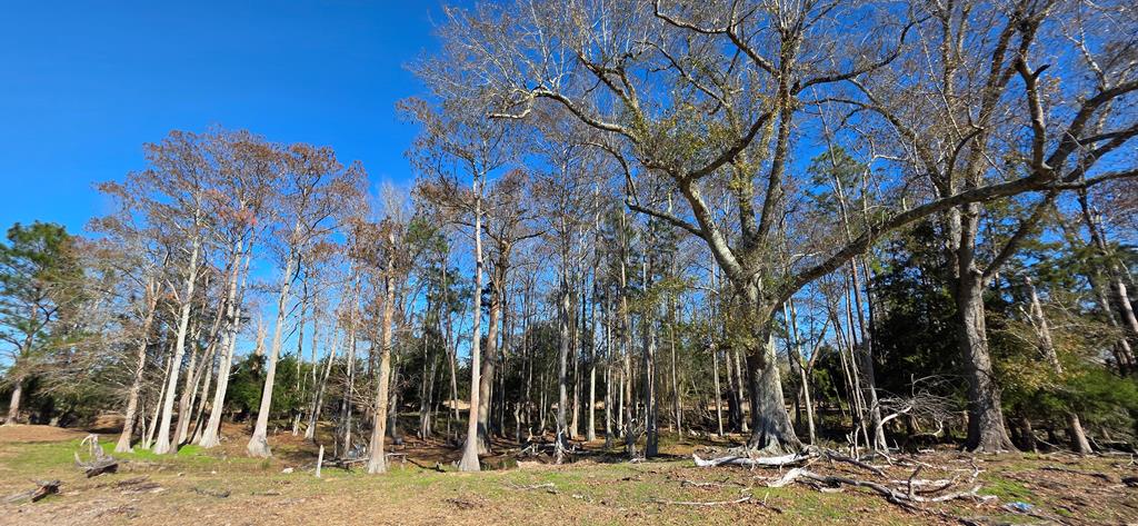 12.7-acres Nobles Road Dothan, AL 36301 - Photo 37 of 41