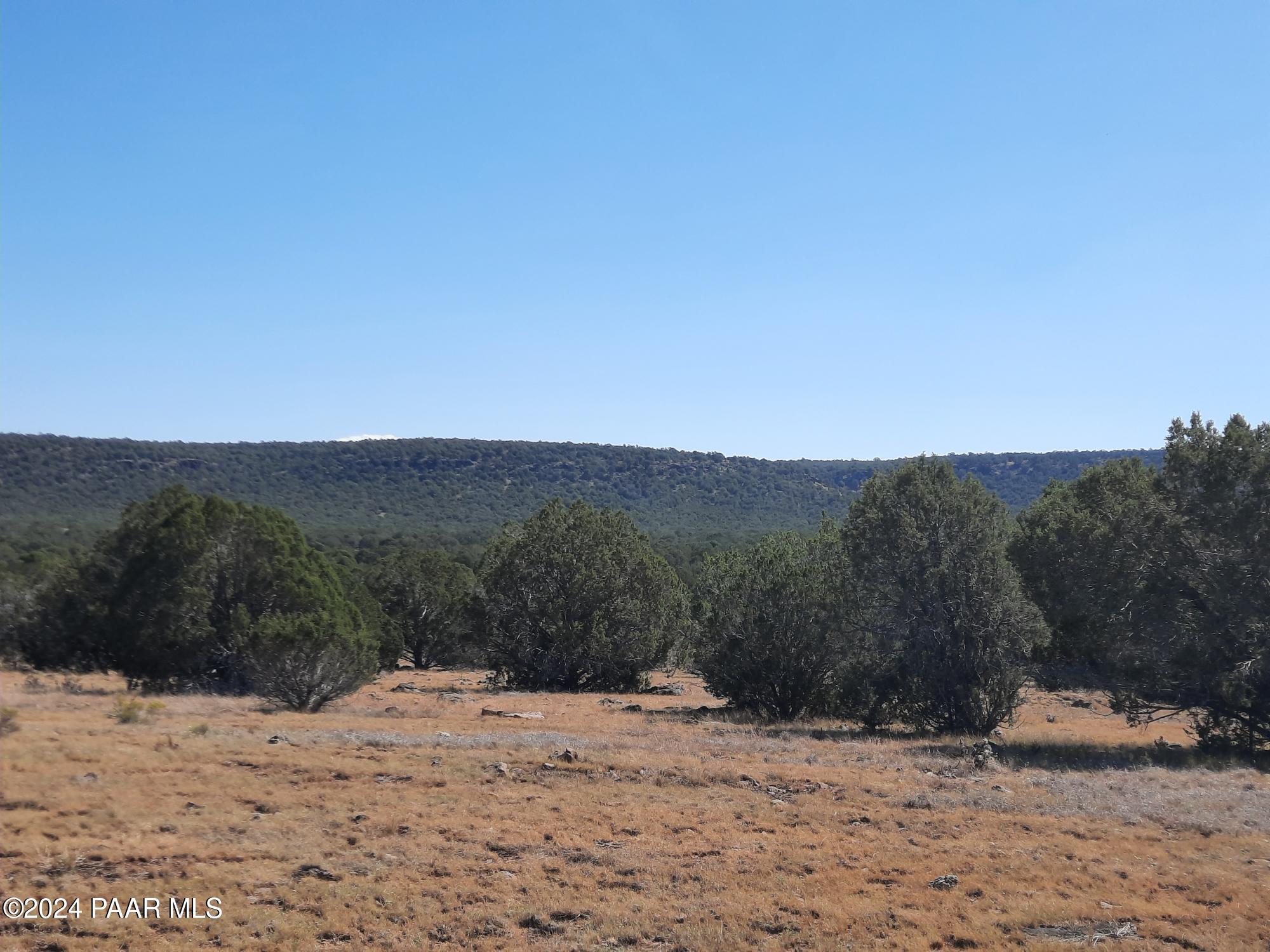 33455 West Craig Road Seligman, AZ 86337 - Photo 33 of 41 20241010_111932