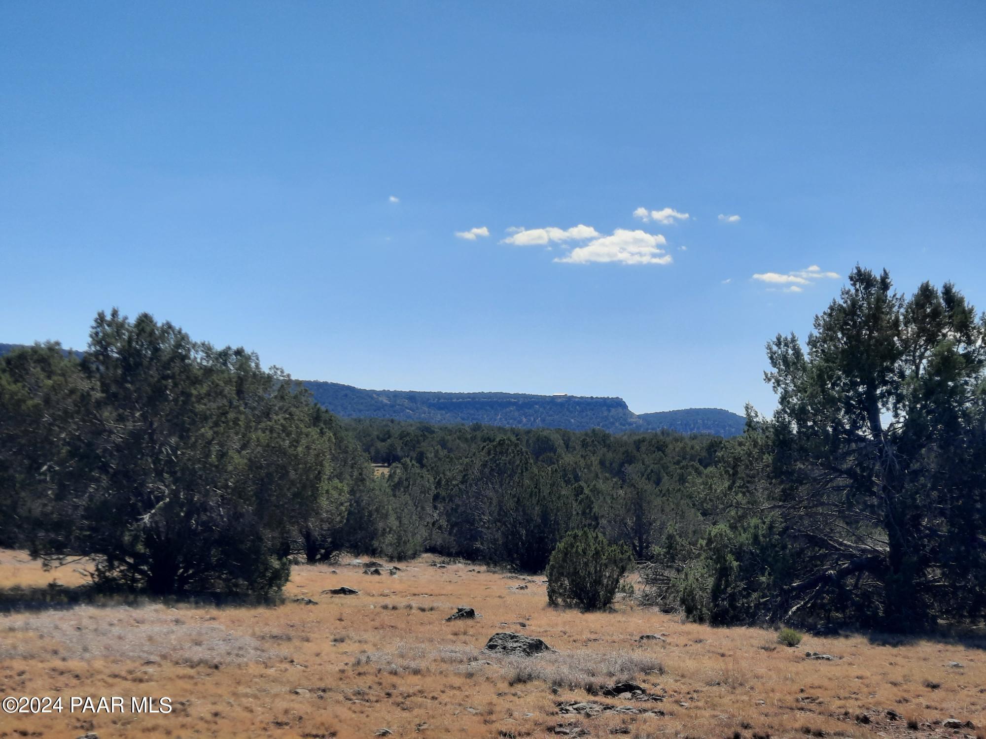 33455 West Craig Road Seligman, AZ 86337 - Photo 34 of 41 20241010_111942