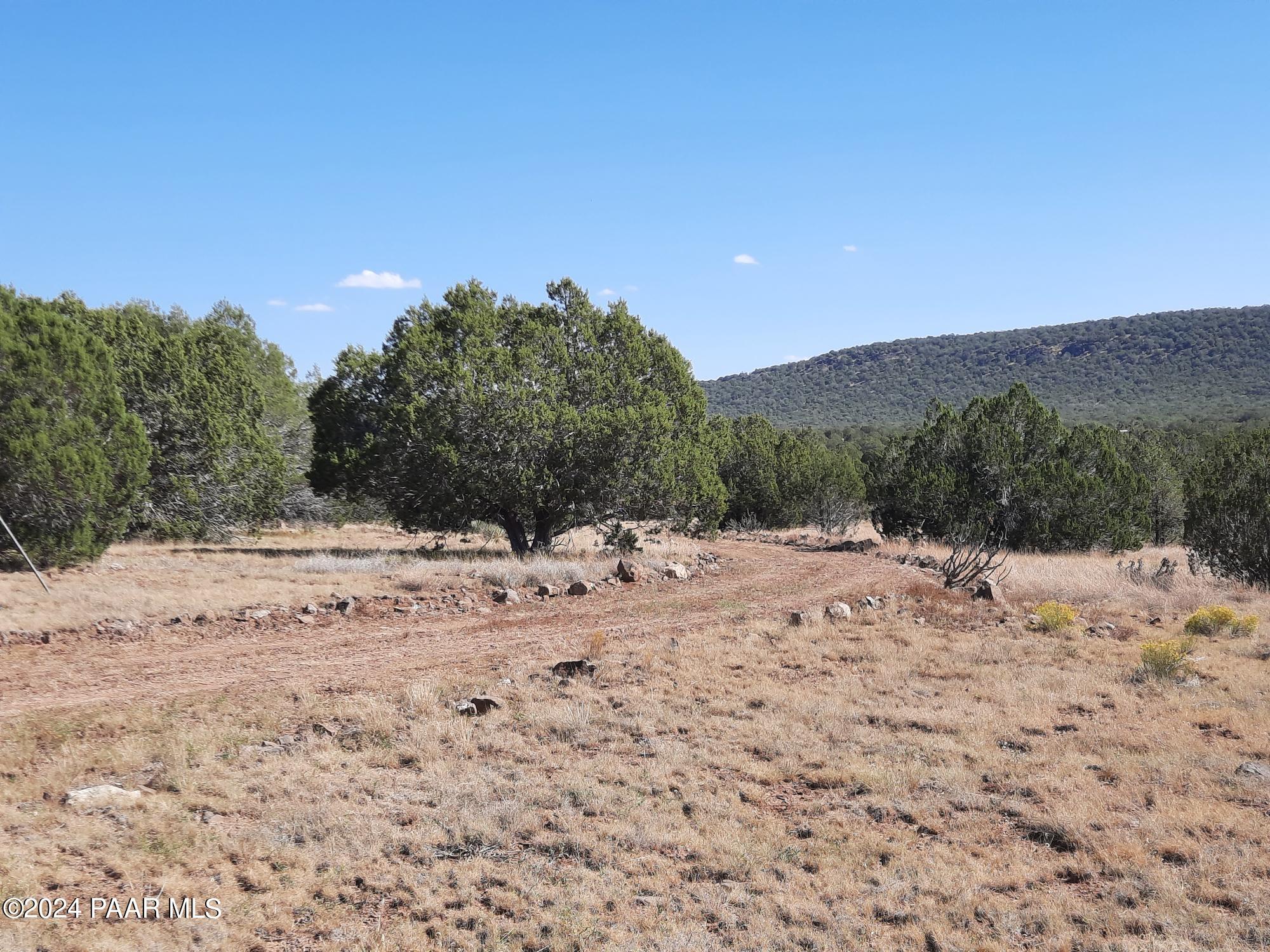 33455 West Craig Road Seligman, AZ 86337 - Photo 35 of 41 20241010_112024