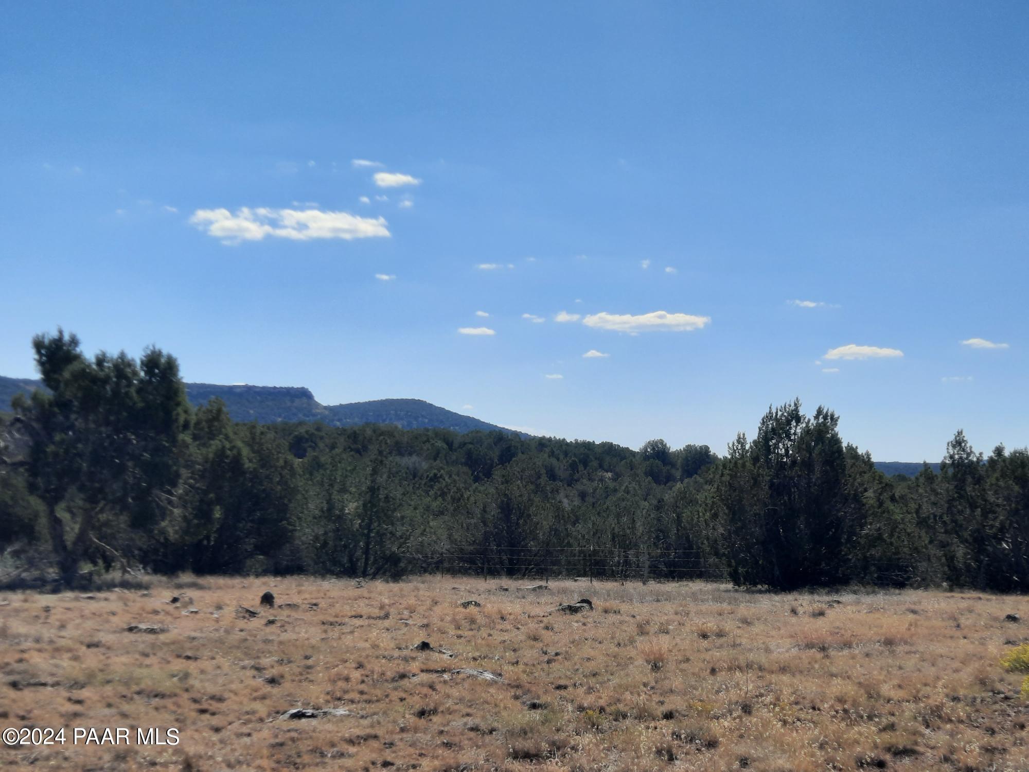 33455 West Craig Road Seligman, AZ 86337 - Photo 36 of 41 20241010_112713