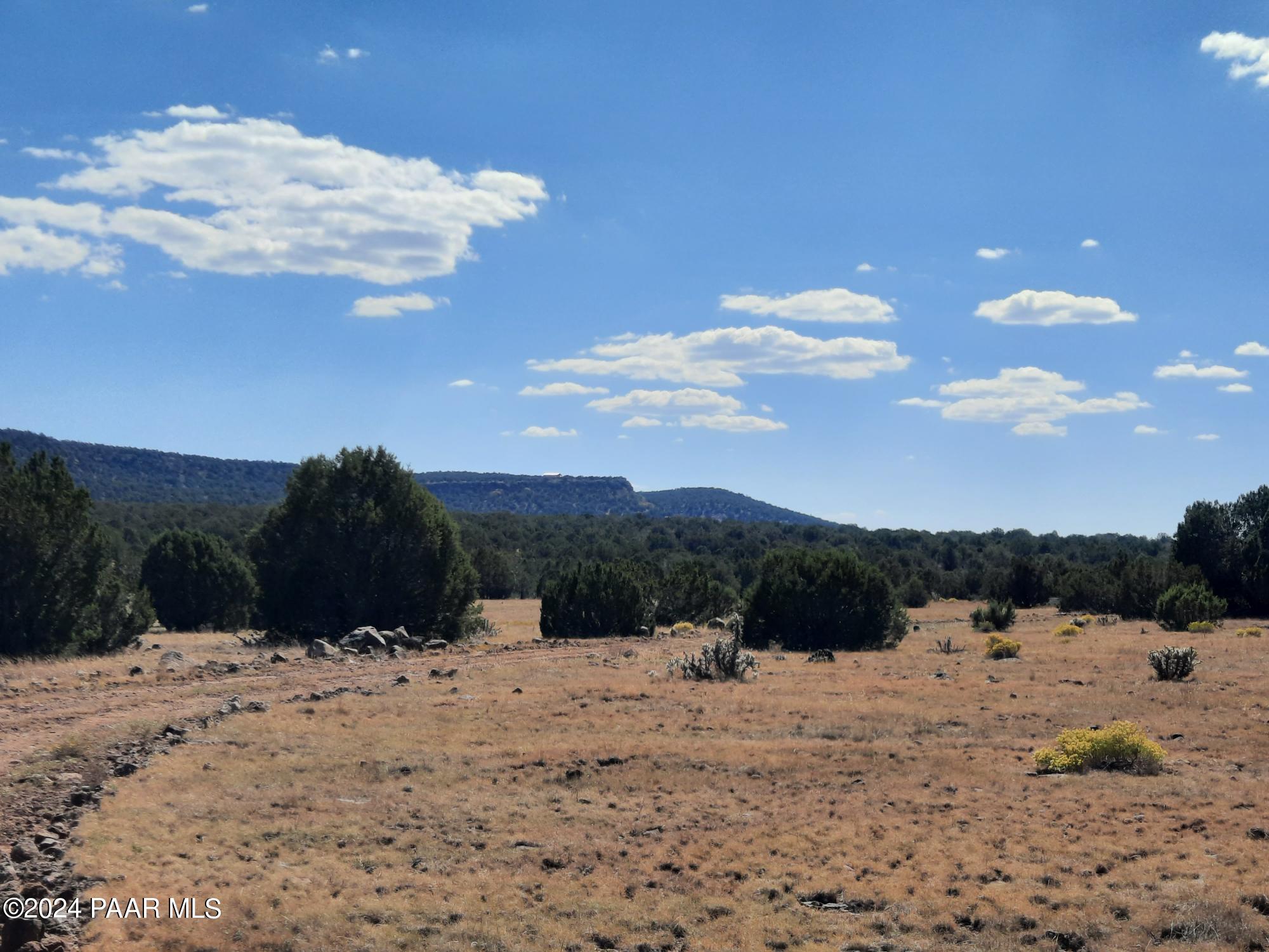 33455 West Craig Road Seligman, AZ 86337 - Photo 40 of 41 20241010_120616