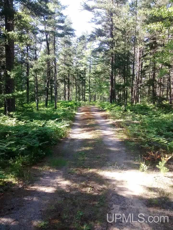 23624 East Co Road Grand Marais, MI 49839 - Photo 19 of 19