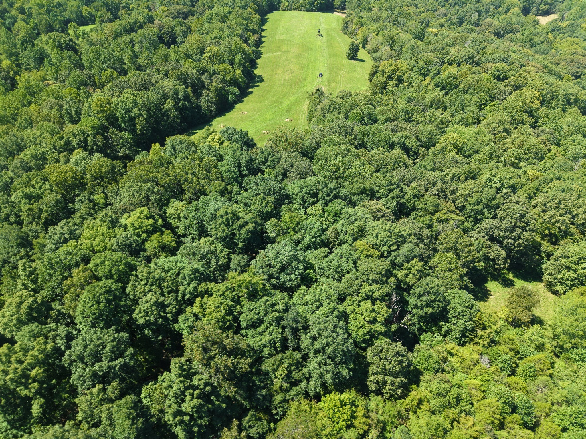 0 Batson Mill Road Charlotte, TN 37036 - Photo 4 of 11 Gallery Image 4