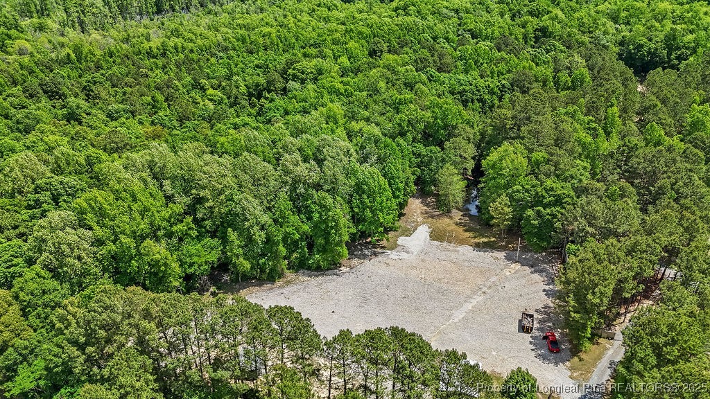 7255 Fish Tail Road Stedman, NC 28391 - Photo 11 of 19