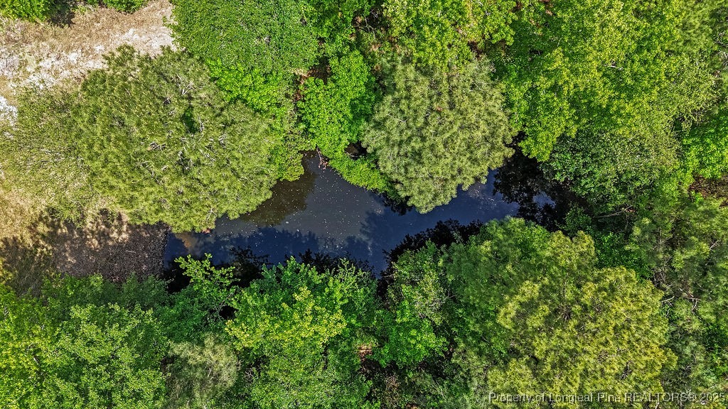 7255 Fish Tail Road Stedman, NC 28391 - Photo 12 of 19