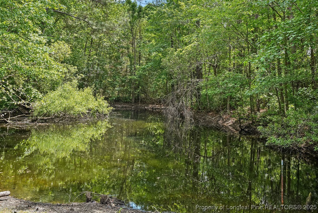 7255 Fish Tail Road Stedman, NC 28391 - Photo 5 of 19