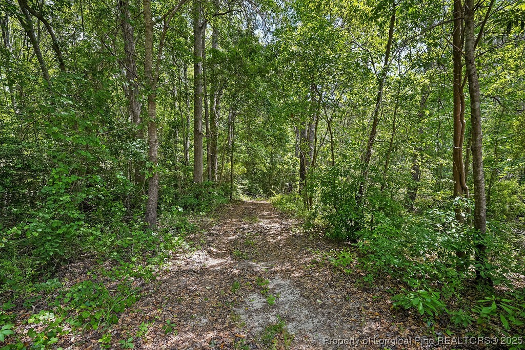 7255 Fish Tail Road Stedman, NC 28391 - Photo 6 of 19