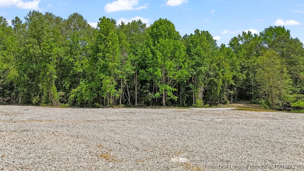 7255 Fish Tail Road Stedman, NC 28391 - Photo 7 of 19