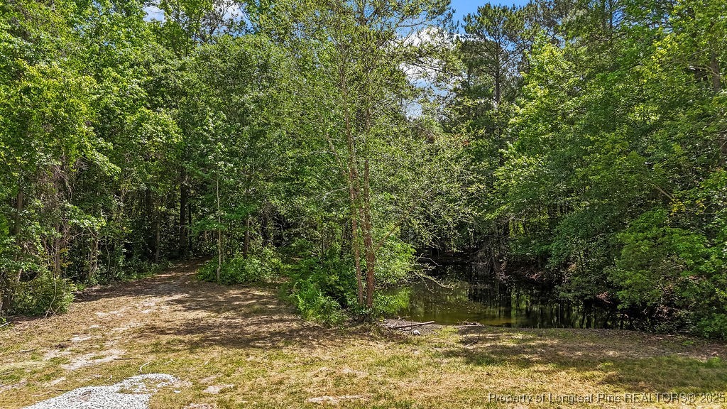 7255 Fish Tail Road Stedman, NC 28391 - Photo 8 of 19