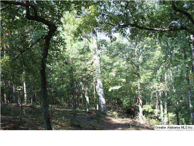 619 County Road, Unit 59 5AC Woodland, AL 36280 - Photo 12 of 13