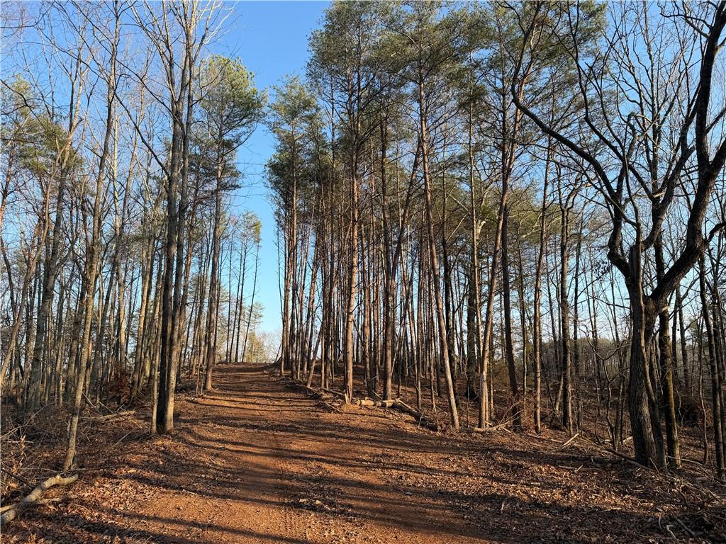 0 Arnold Road Fairmount, GA 30139 - Photo 9 of 54 Gallery Image 9