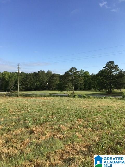 0 Highway 231, Unit 1 5 Oneonta, AL 35121 - Photo 20 of 23