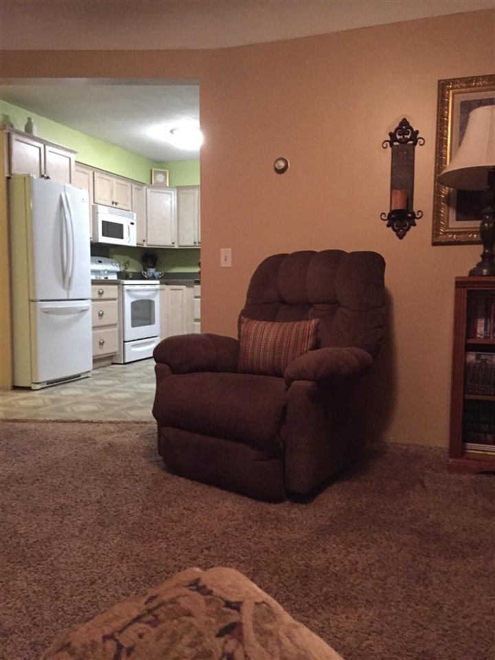 10025 West Jordan Road Remus, MI 49340 - Photo 16 of 50 1828092-15.JPG