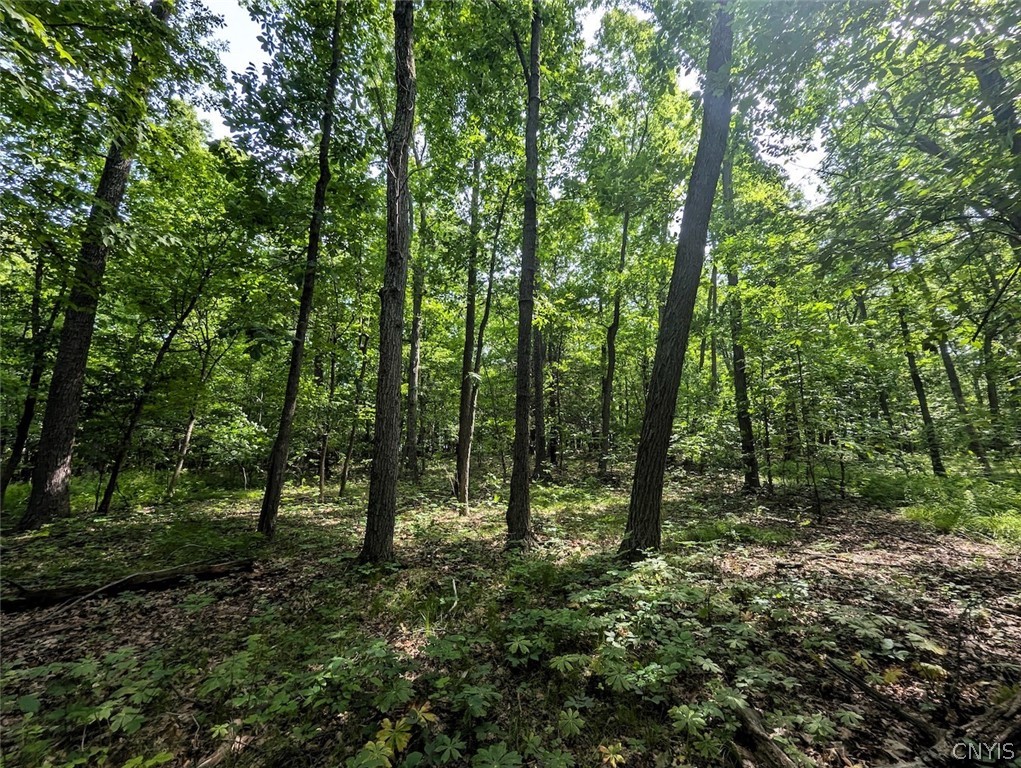 Keifer Hollow Road Dansville, NY 14437 - Photo 21 of 33