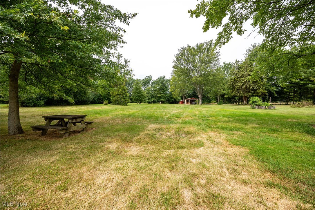 8764 Oberlin Road Elyria, OH 44035 - Photo 10 of 18 View of yard