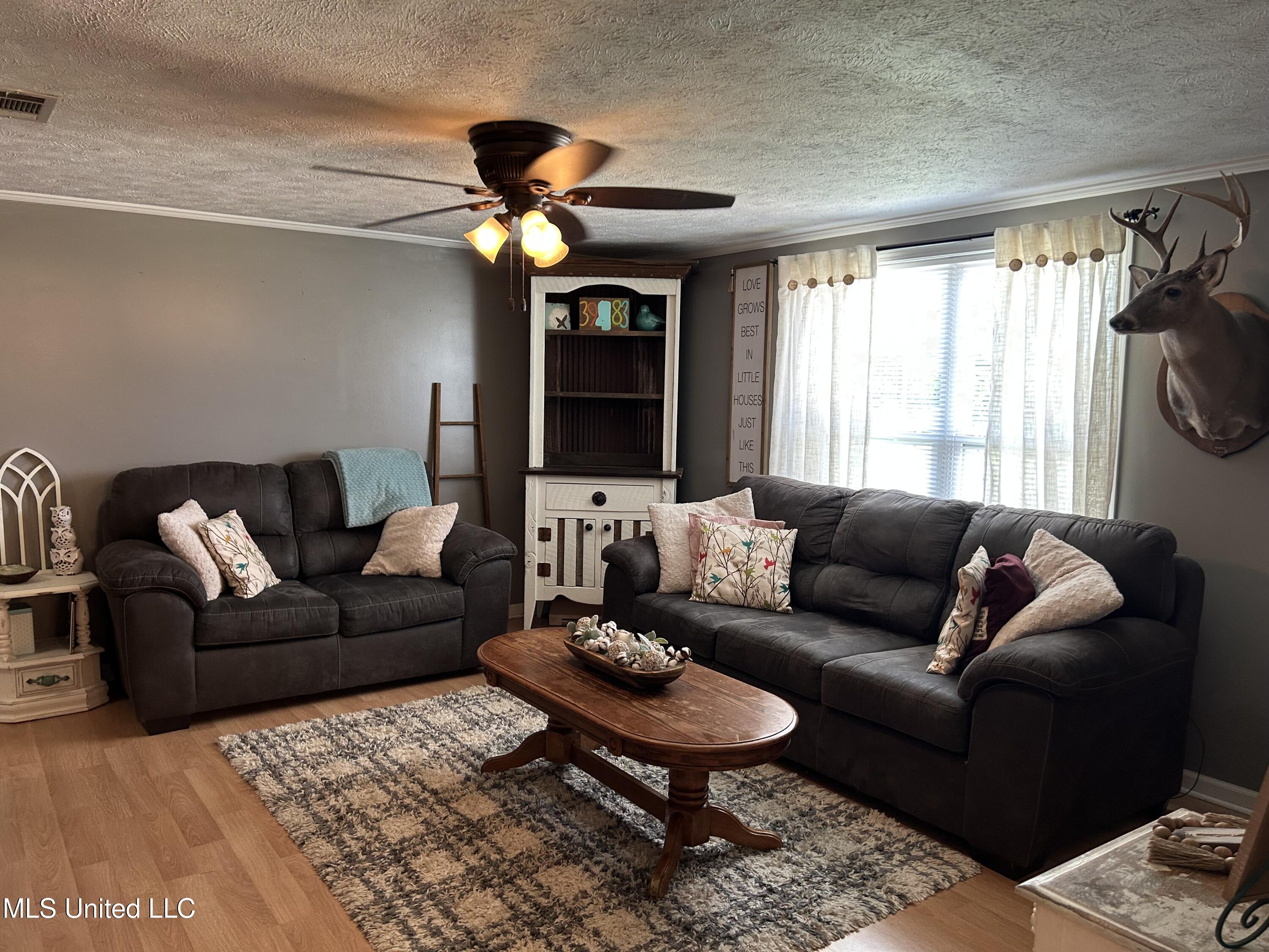 3048 Georgetown Street Hazlehurst, MS 39083 - Photo 2 of 34 IMG_6881