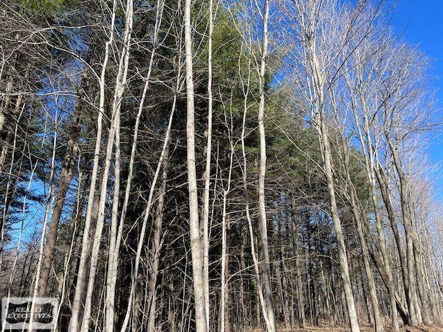 0 Burton Road Capac, MI 48014 - Photo 9 of 10
