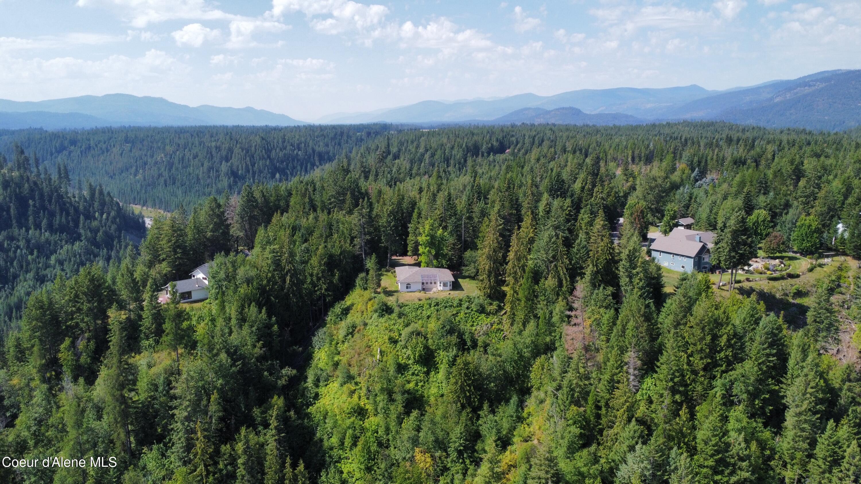 271 Windswept Court Naples, ID 83847 - Photo 2 of 38 Drone