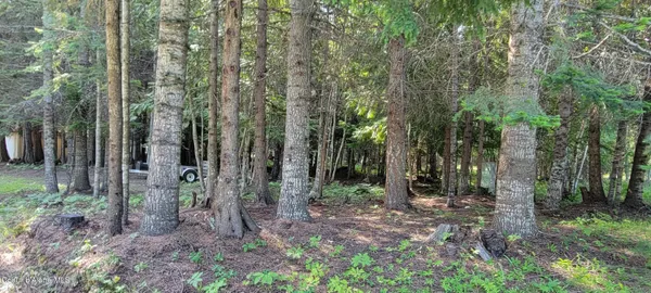 $650,000 | 271 Windswept Court, Naples, ID 83847