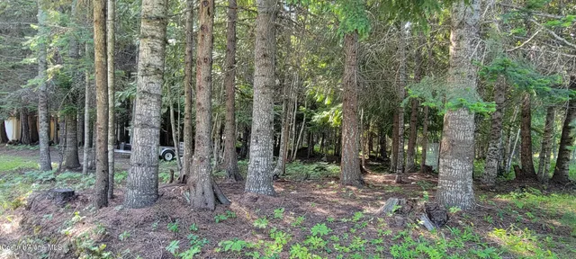 $650,000 | 271 Windswept Court, Naples, ID 83847